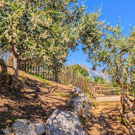 Ci Vulia B&B - Sicilia Sea, Pool, Bbq, Tv, Wi-Fi อัลกาโมมารีนา ภายนอก รูปภาพ