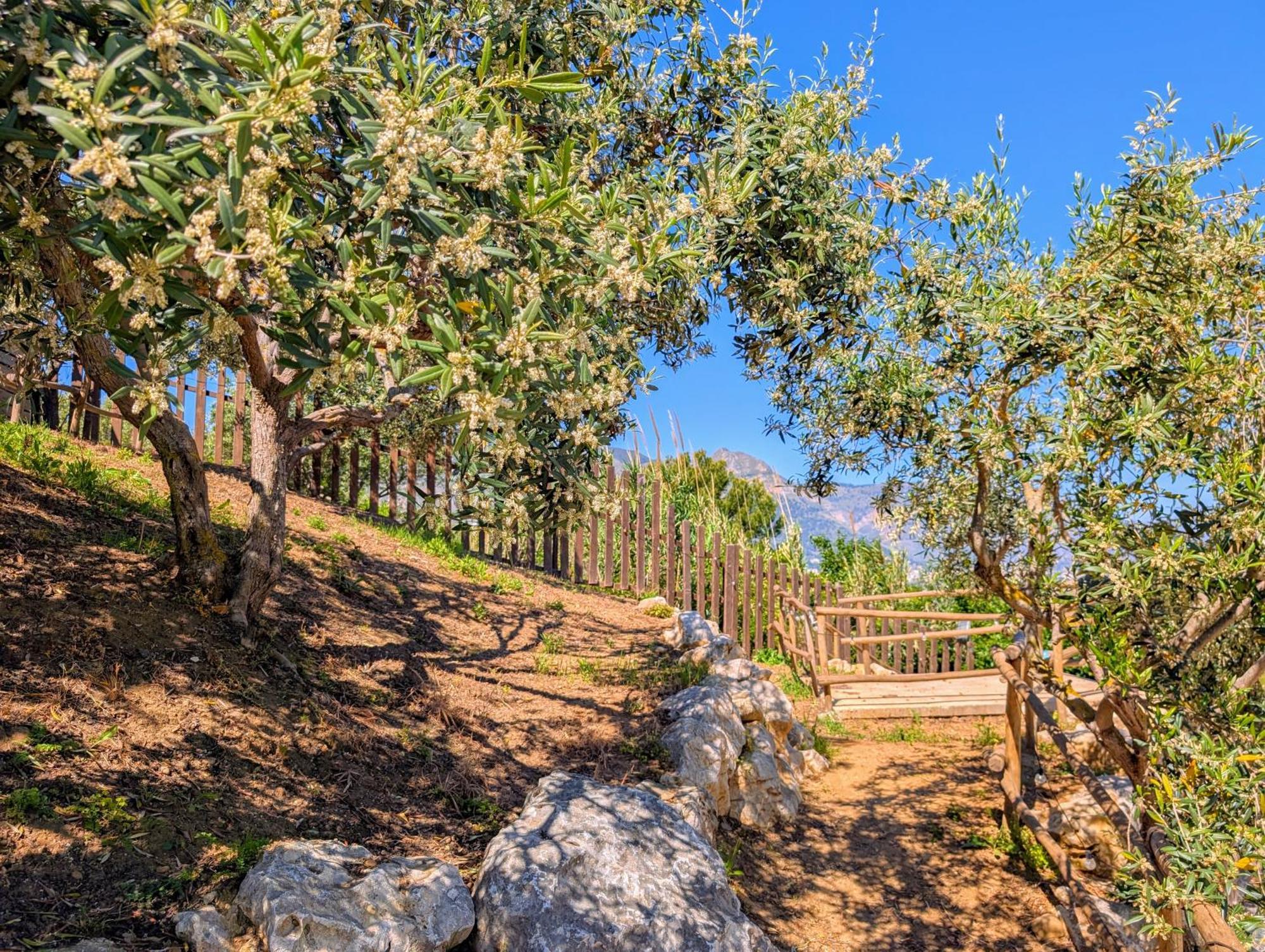 Ci Vulia B&B - Sicilia Sea, Pool, Bbq, Tv, Wi-Fi อัลกาโมมารีนา ภายนอก รูปภาพ